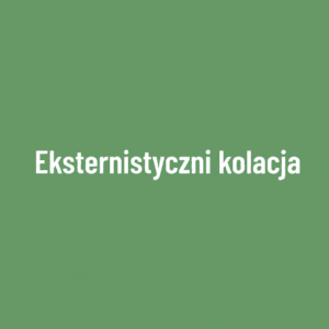 Kolacja (udział eksternistyczny, 1 dzień)